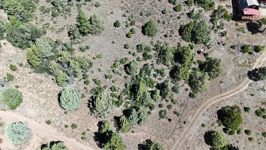 Extensive natural terrain featuring varied vegetation, multiple mature trees, and visible dirt paths