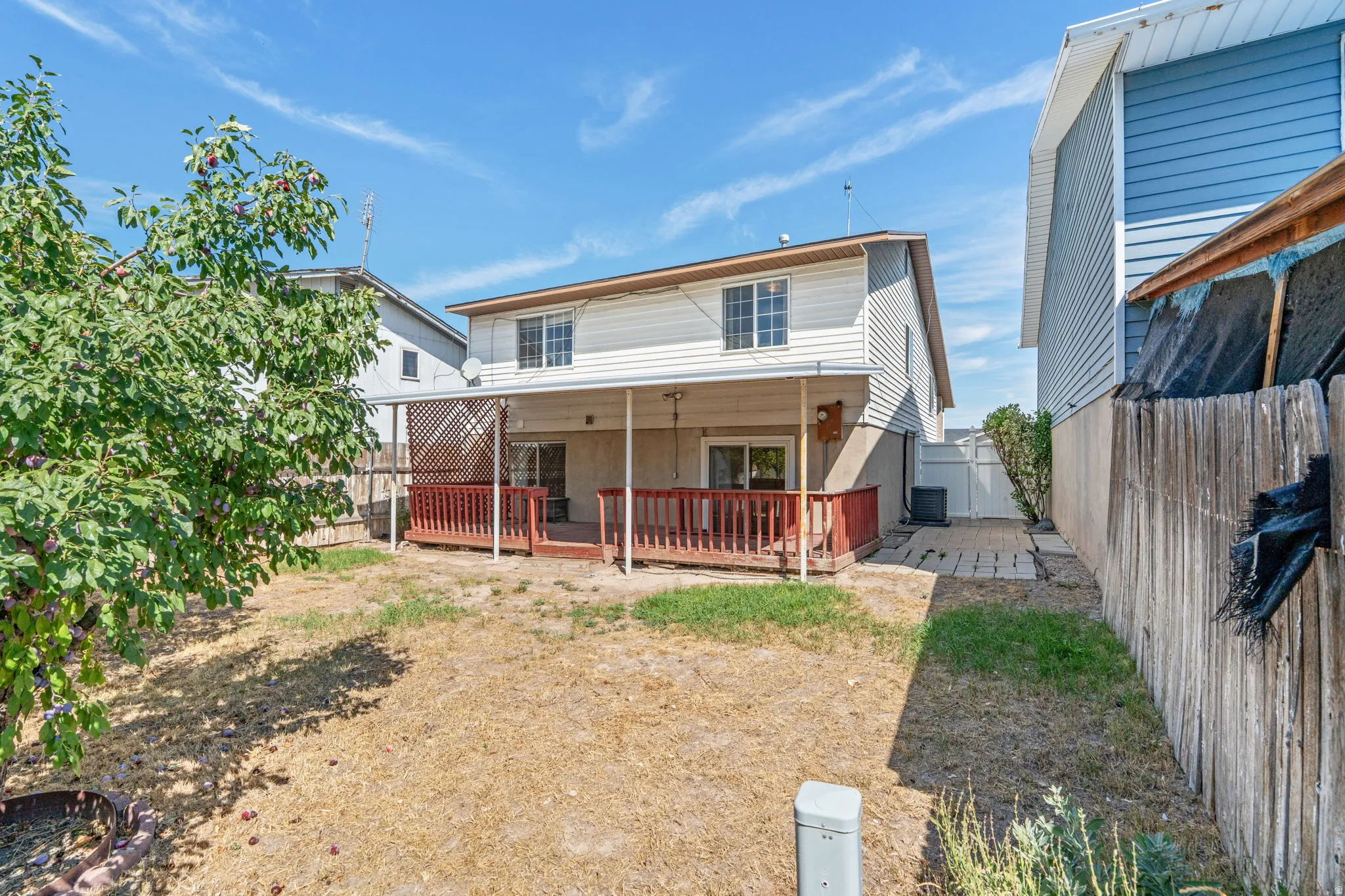 Expansive backyard featuring a covered patio with a wood deck and railings, mature tree, and a paved side path