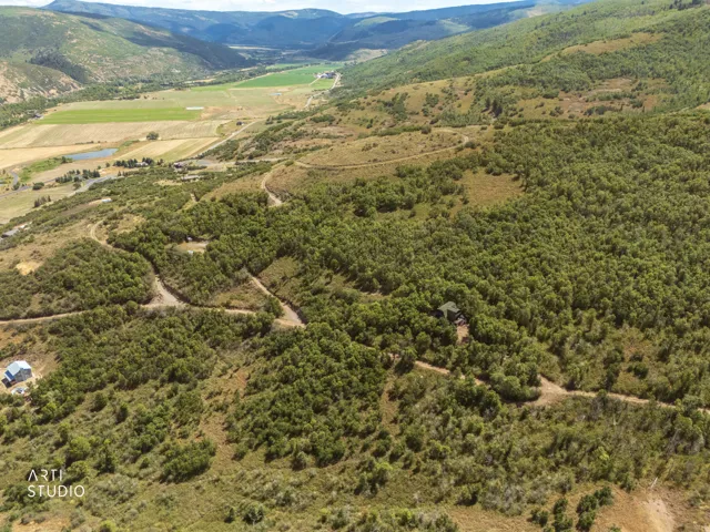Expansive property with a valley backdrop, featuring abundant mature trees, a winding dirt road, and visible structures