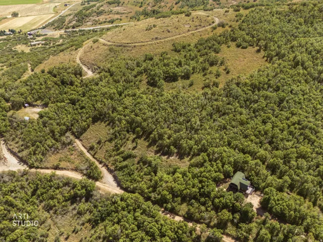 Extensive tree coverage surrounding a residential structure with a green roof, featuring a visible dirt road and varied topography