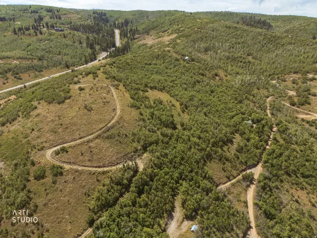 Expansive acreage featuring abundant mature trees, varied terrain, and multiple unpaved roads