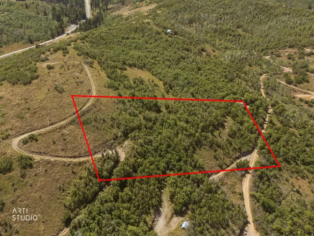 Expansive land parcel featuring dense tree coverage