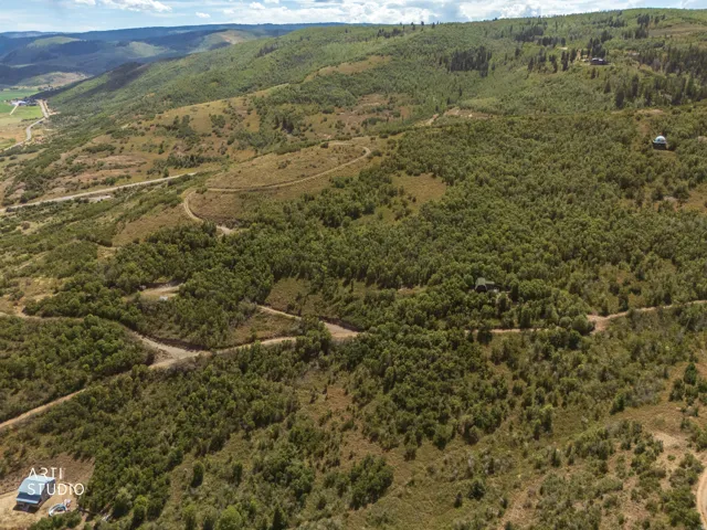 Expansive acreage featuring abundant mature trees, winding roads, and distant mountain ranges