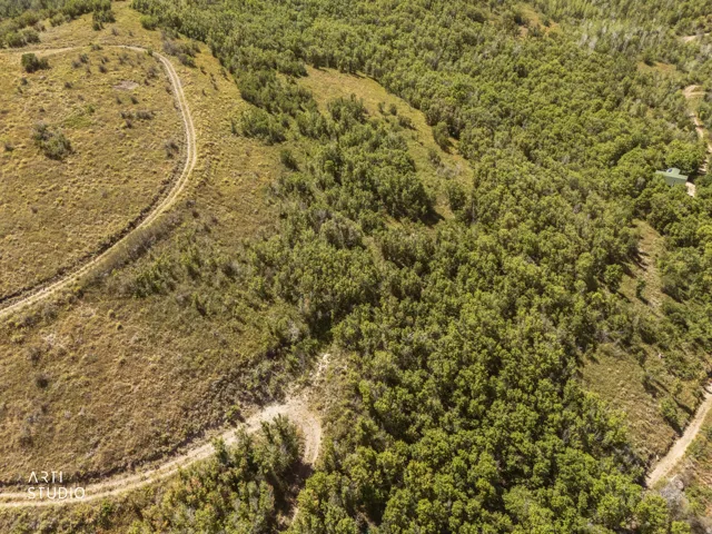 Expansive natural landscape featuring dense tree coverage and unpaved paths