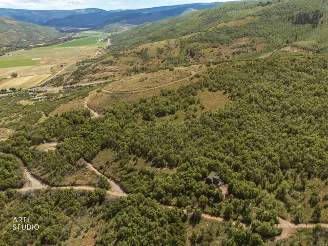 Rolling hills with extensive tree coverage