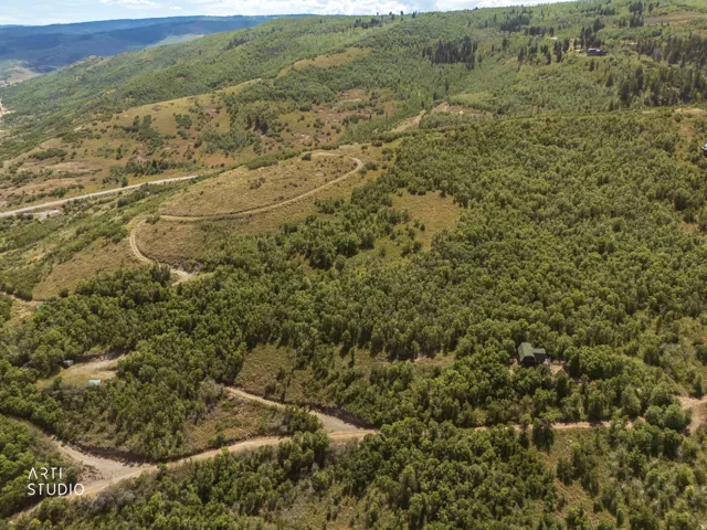 Expansive treed landscape with a visible structure