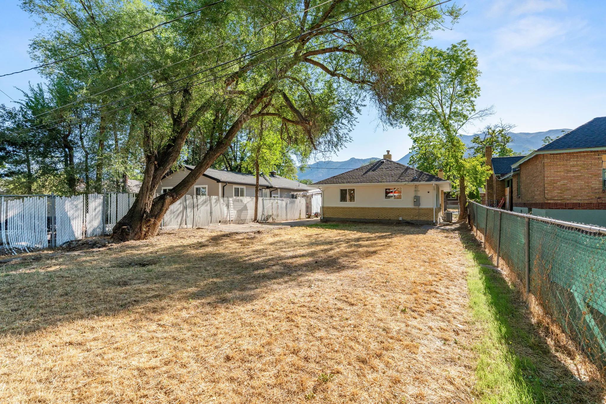 Expansive backyard space with a mature shade tree, chain link fence, and a distant mountain backdrop