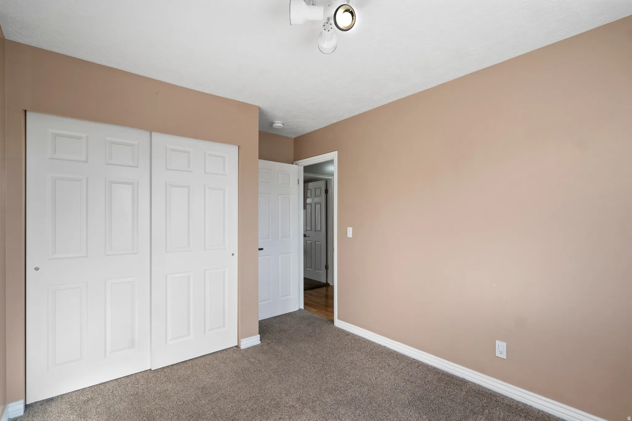 Neutral wall tones with white trim, track lighting, and carpet flooring