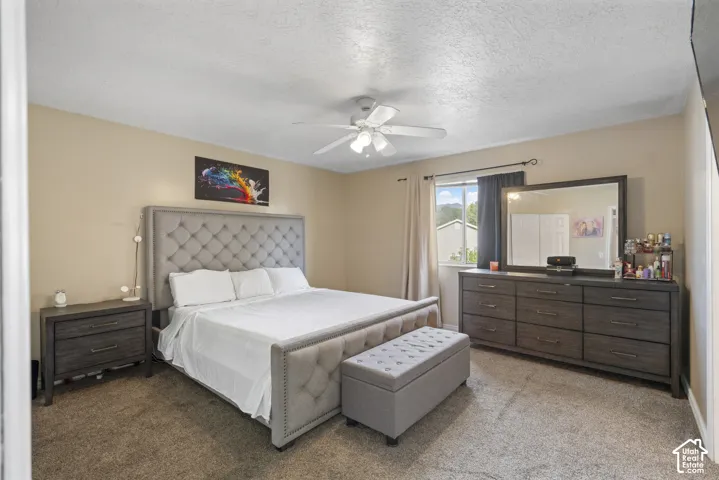 Ceiling fan, window with exterior view, and wall-to-wall carpeting