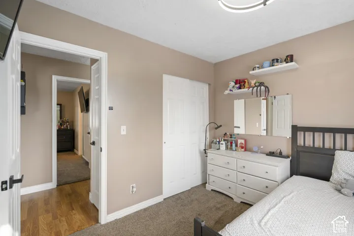 Wall-to-wall carpeting, neutral wall color, and white trim