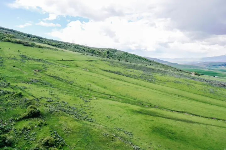 Expansive green hillside with distant mountains