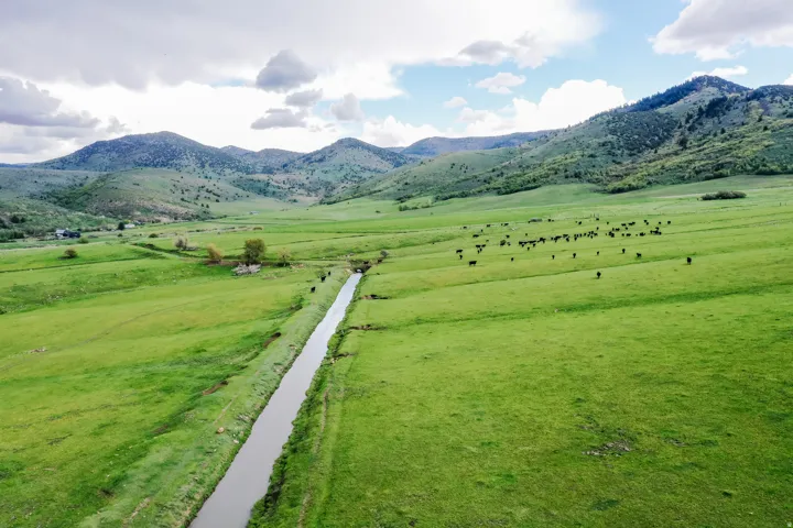 Expansive green pastures featuring a water channel, rolling hills, and distant mountains