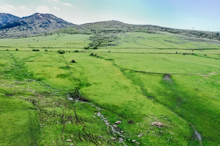 Expansive green landscape with rolling hills and distant mountains