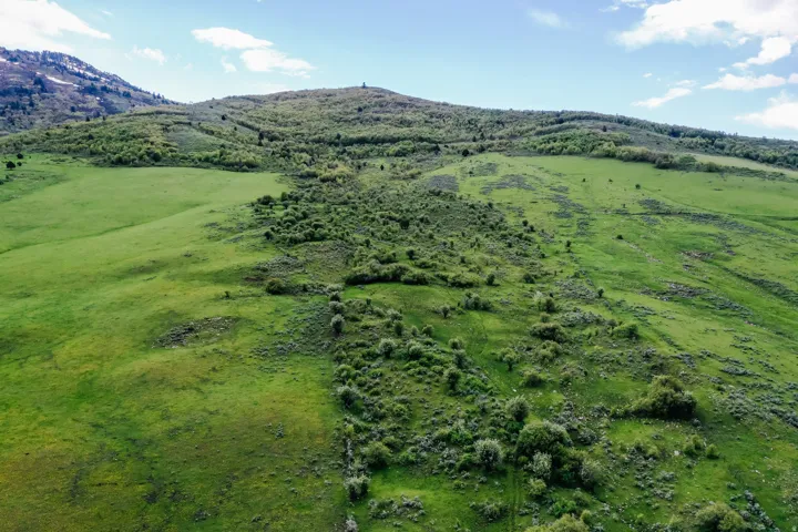 Expansive green terrain with varied topography, featuring lush grass and scattered brush