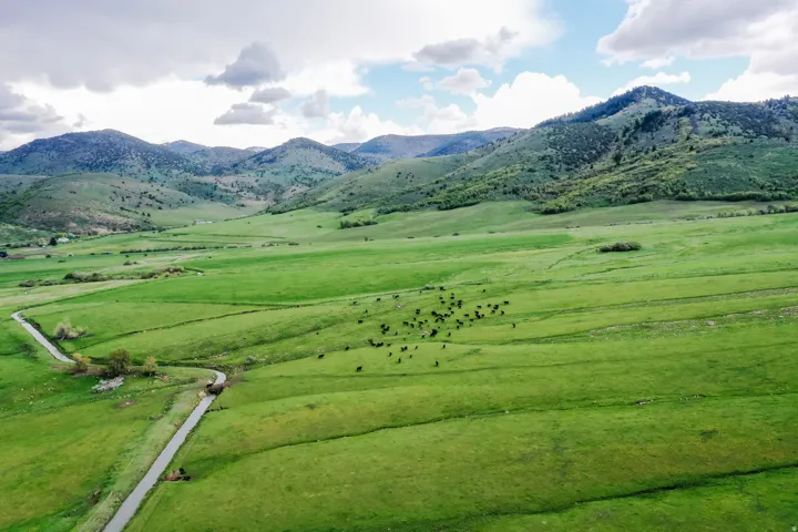 Expansive green landscape with rolling hills and a winding road