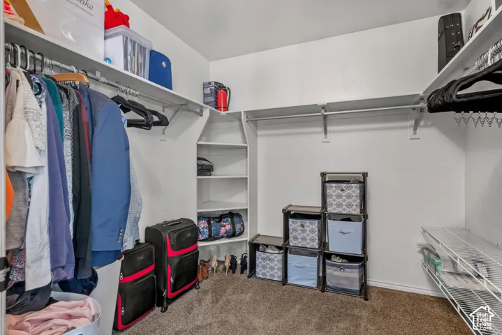 Carpeted walk-in closet with multiple hanging rods, built-in shelving, and wire shelving
