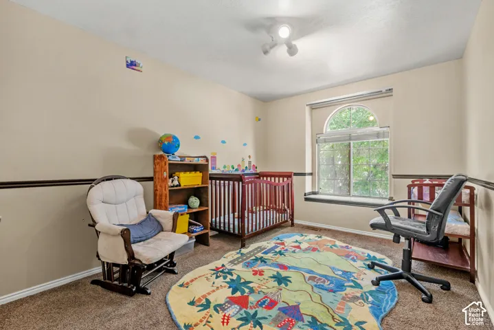 Arch-top window, track lighting, neutral wall tones, accent trim, and carpeted flooring