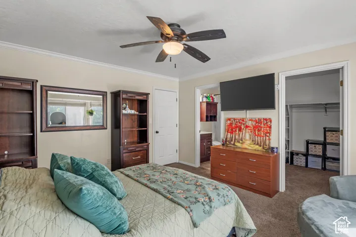 Ceiling fan with integrated lighting, crown molding, wall-mounted television, built-in closet storage, and wood-finish cabinetry
