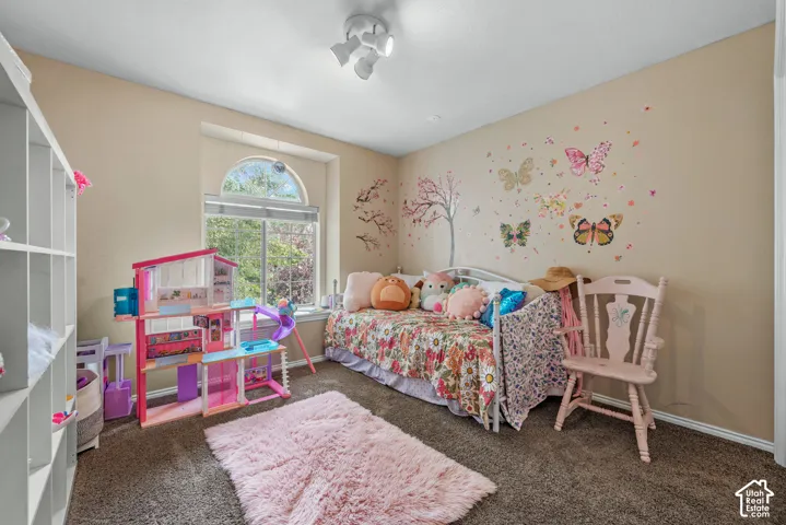 Arched window with blinds, overhead track lighting, built-in shelving, and carpeted flooring