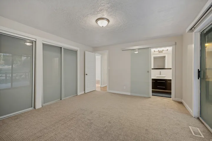 Neutral-toned carpet flooring, a barn door style glass panel, a built-in vanity with a vessel sink, and sliding glass closet doors