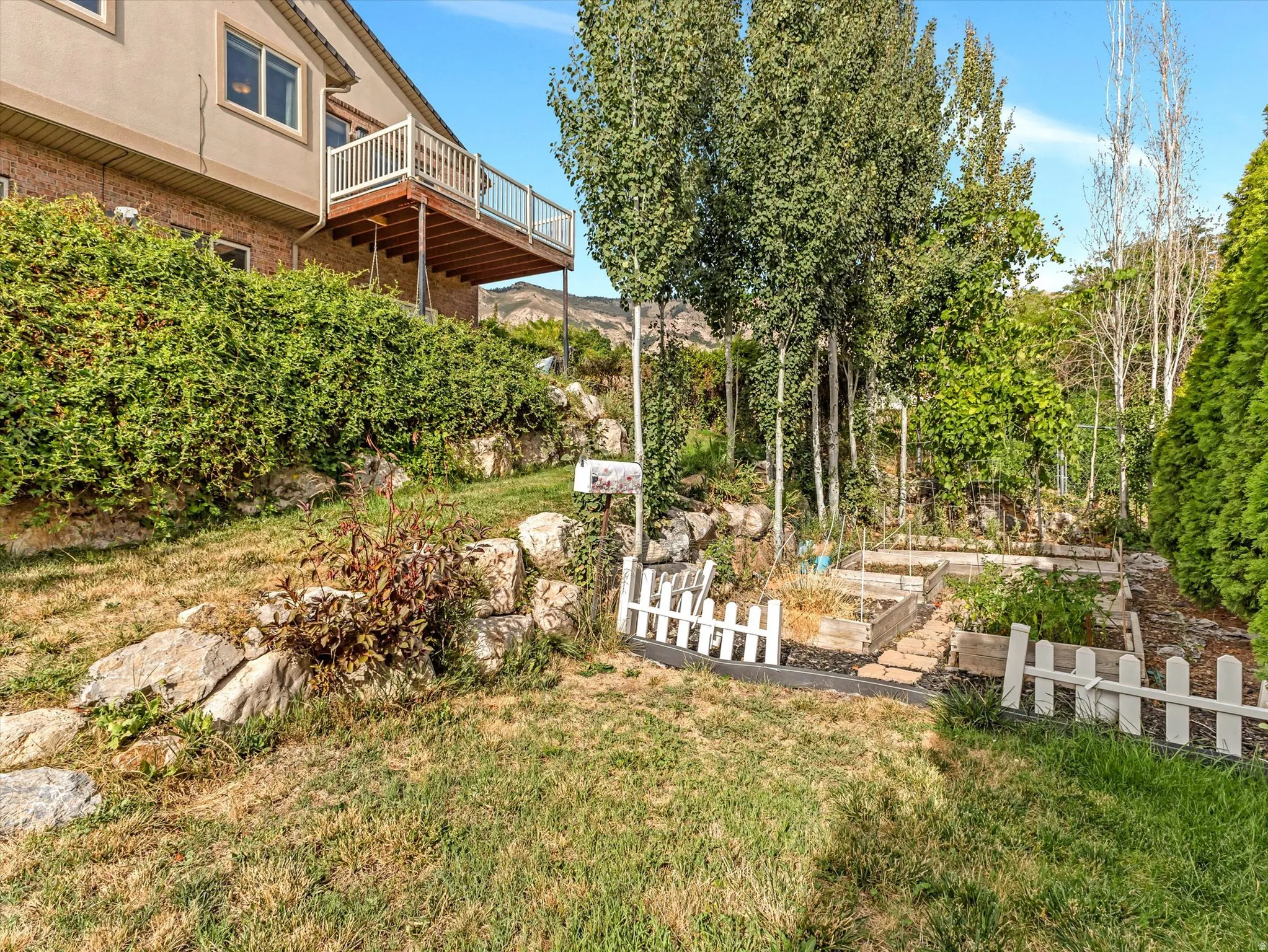 Mature landscaping with tall poplar trees, manicured hedges, and established plantings frame this expansive backyard retreat
