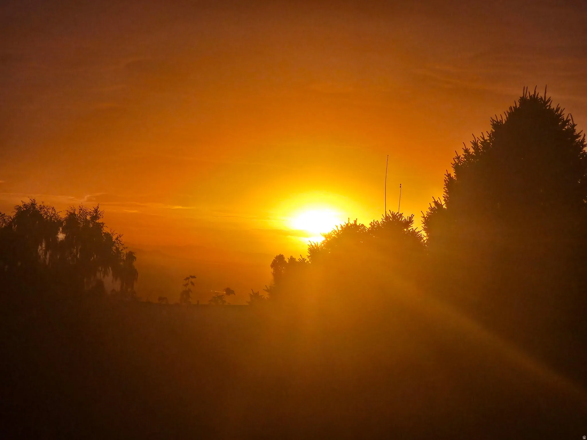 Gorgeous Sunsets!