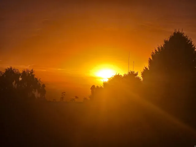 Gorgeous Sunsets!