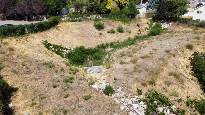 This is a shot of the vacant lot land drain to the East, so you'll never have neighbors on that side!