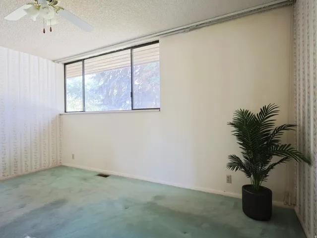 Windowed interior space with a ceiling fan, wall-to-wall carpeting, and a window with blinds