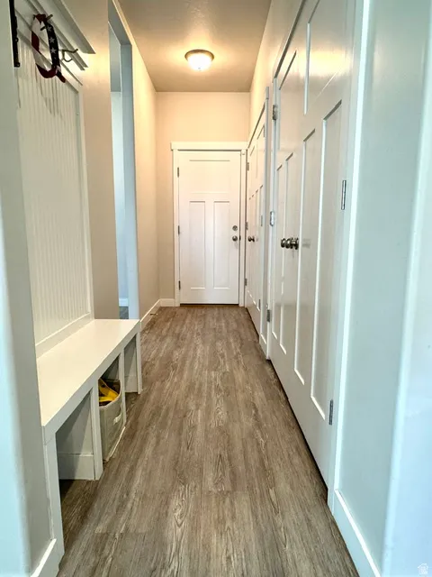 Hallway coming from garage