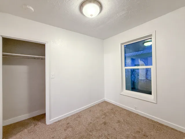 Recessed closet with clothes rod, single window with white trim, wall-to-wall carpeting, and a ceiling-mounted light fixture