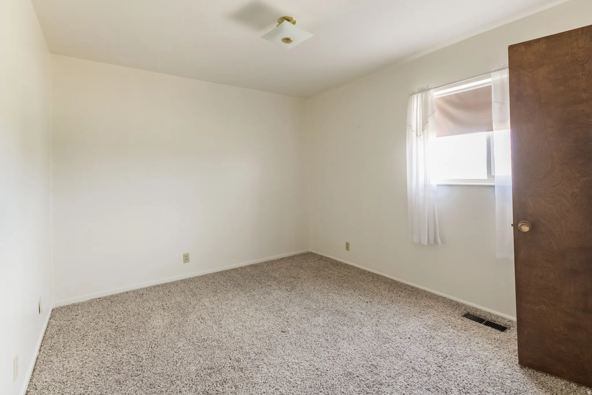 Neutral wall paint, textured carpeting, window with roller shade, surface-mounted ceiling light fixture, wood-finish door