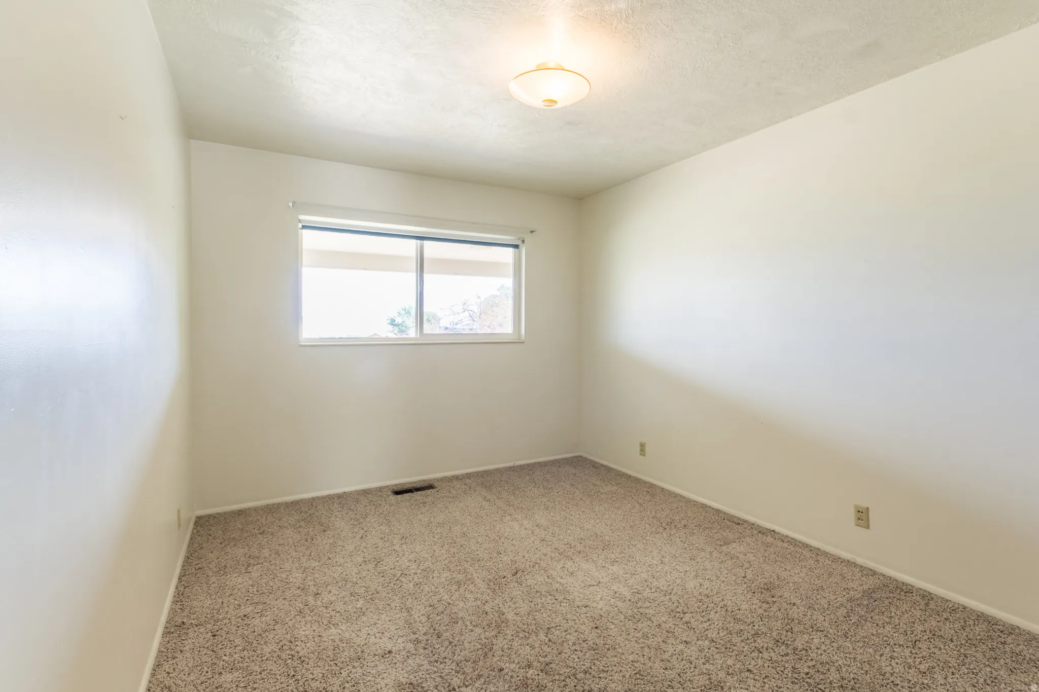 Wall-to-wall carpeting and a ceiling-mounted light fixture