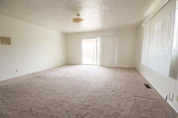 Sliding glass door leading to a balcony, ceiling-mounted light fixture, and vertical window blinds
