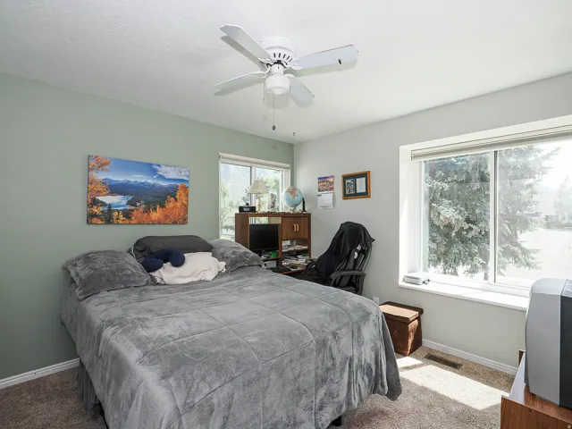 Ceiling fan fixture, dual windows, wall-to-wall carpeting, light-toned walls, and white trim