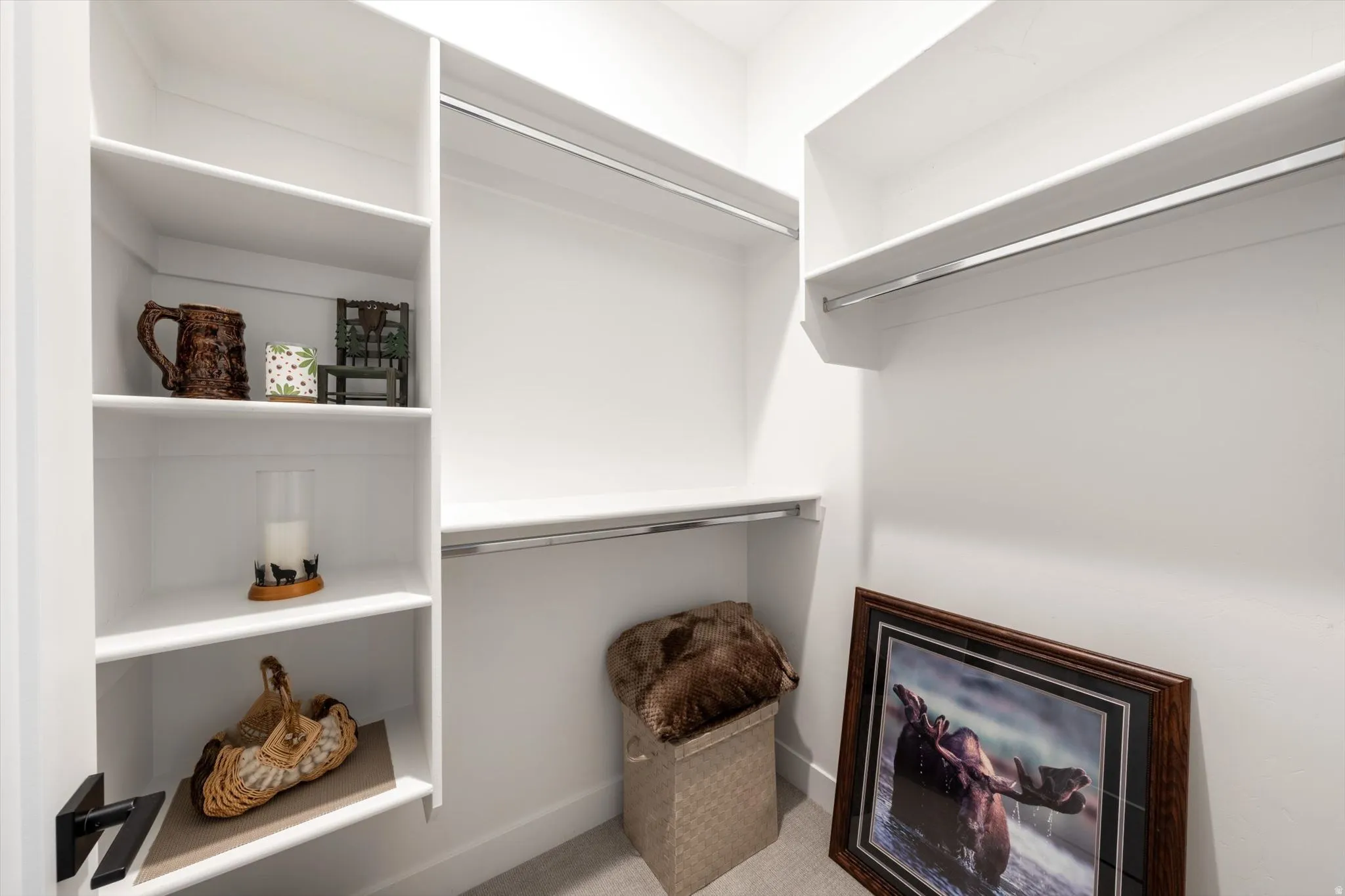 Built-in closet system featuring white shelving, multiple hanging rods, and light gray carpeting