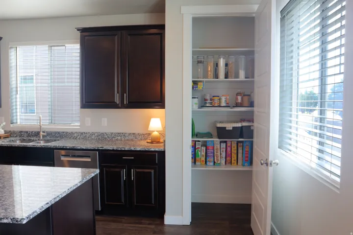 Dark wood-finish cabinetry, light-toned stone countertops, stainless steel sink, stainless steel dishwasher, and a built-in pantry with shelving