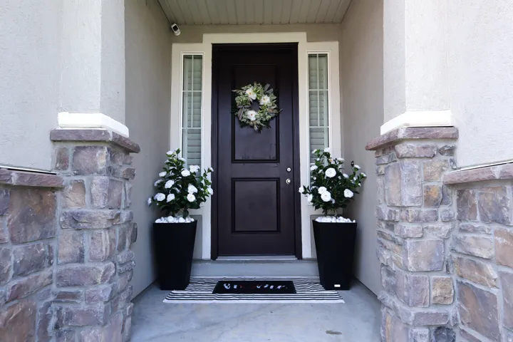 Entryway featuring a dark wood door with sidelights, stone veneer columns, and stucco exterior