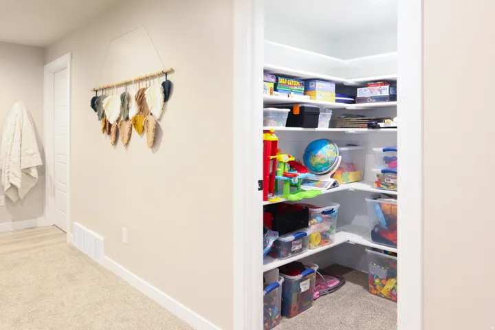 Built-in shelving with multiple levels, bright overhead lighting, and carpeted flooring