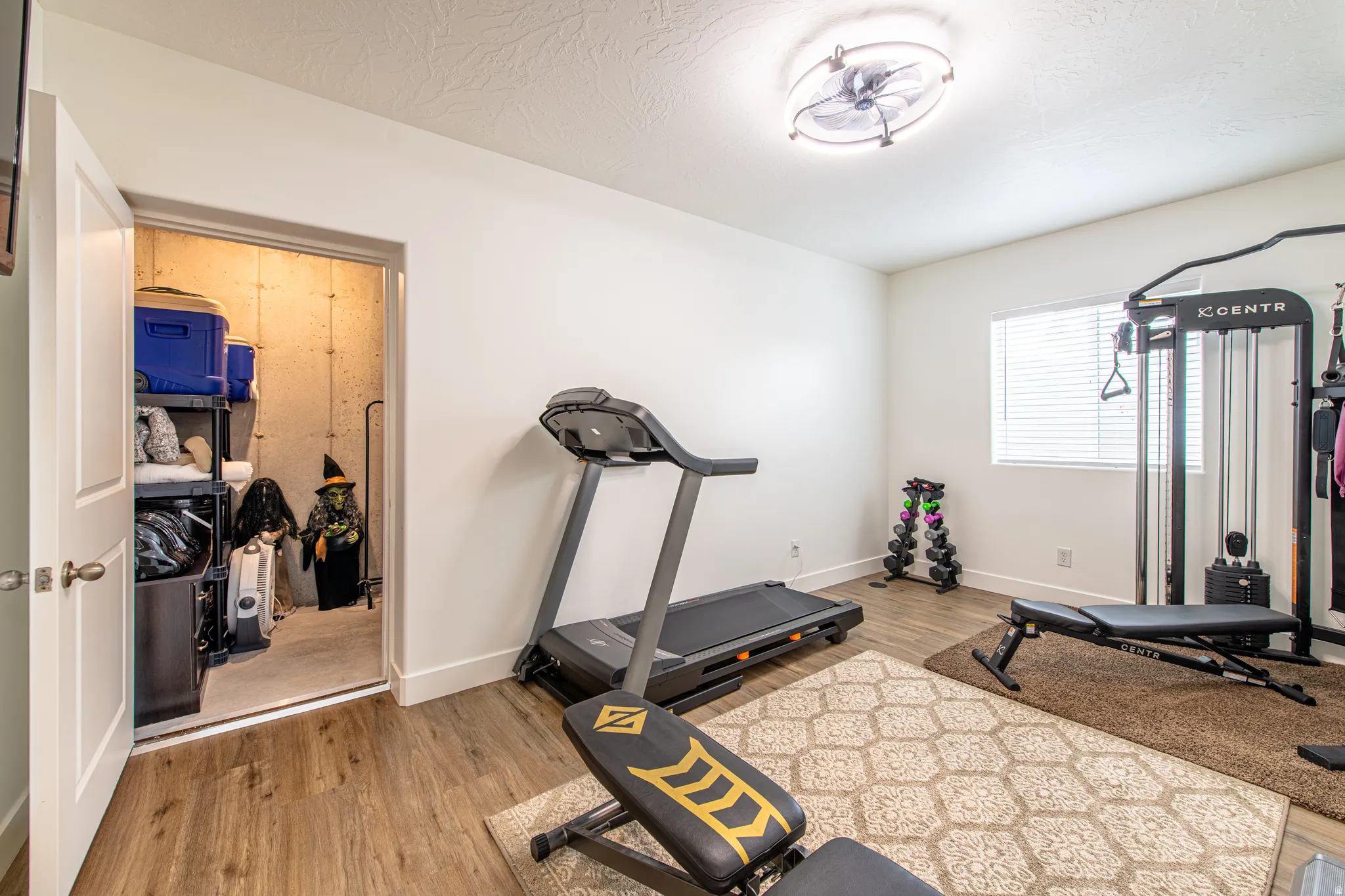 Wood-finish flooring, white walls, and a ceiling-mounted light fixture