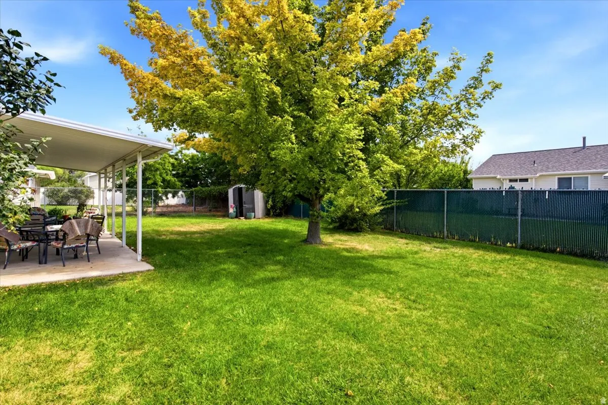 Expansive backyard with a covered patio, concrete surface, mature tree, and chain-link fencing