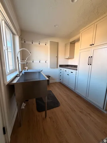 Stainless steel utility sink with an articulating faucet, wood-finish flooring, built-in cabinetry with dark hardware, a window, and recessed lighting