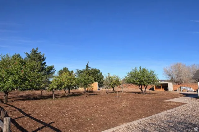 Expansive outdoor area featuring established trees, an open-air structure, and a gravel border