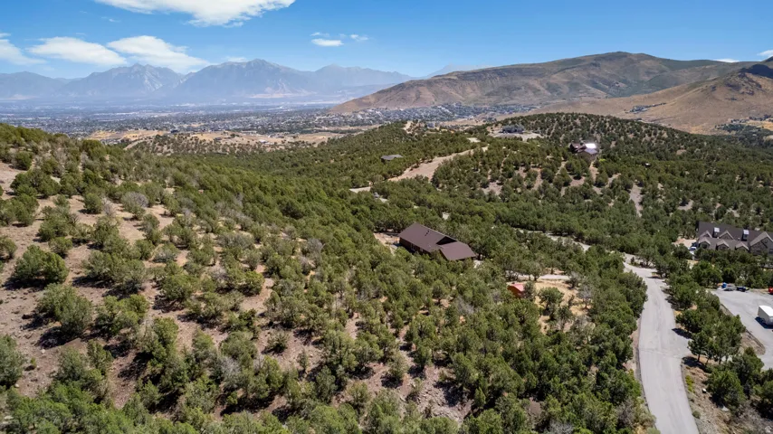 Expansive landscape featuring abundant trees and a mountainous backdrop