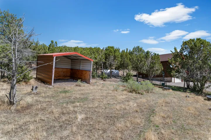 Metal shed with open front and partial wood paneling, set on a natural, sloped lot with varied foliage