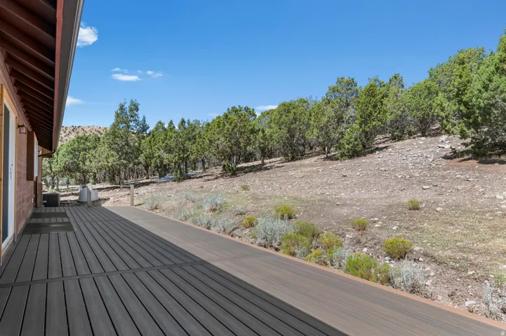 Expansive outdoor deck featuring dark wood-finish planking