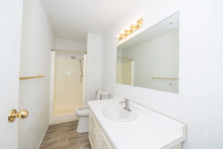 White vanity with integrated sink and brushed nickel faucet, large wall-mounted mirror, and overhead vanity lighting