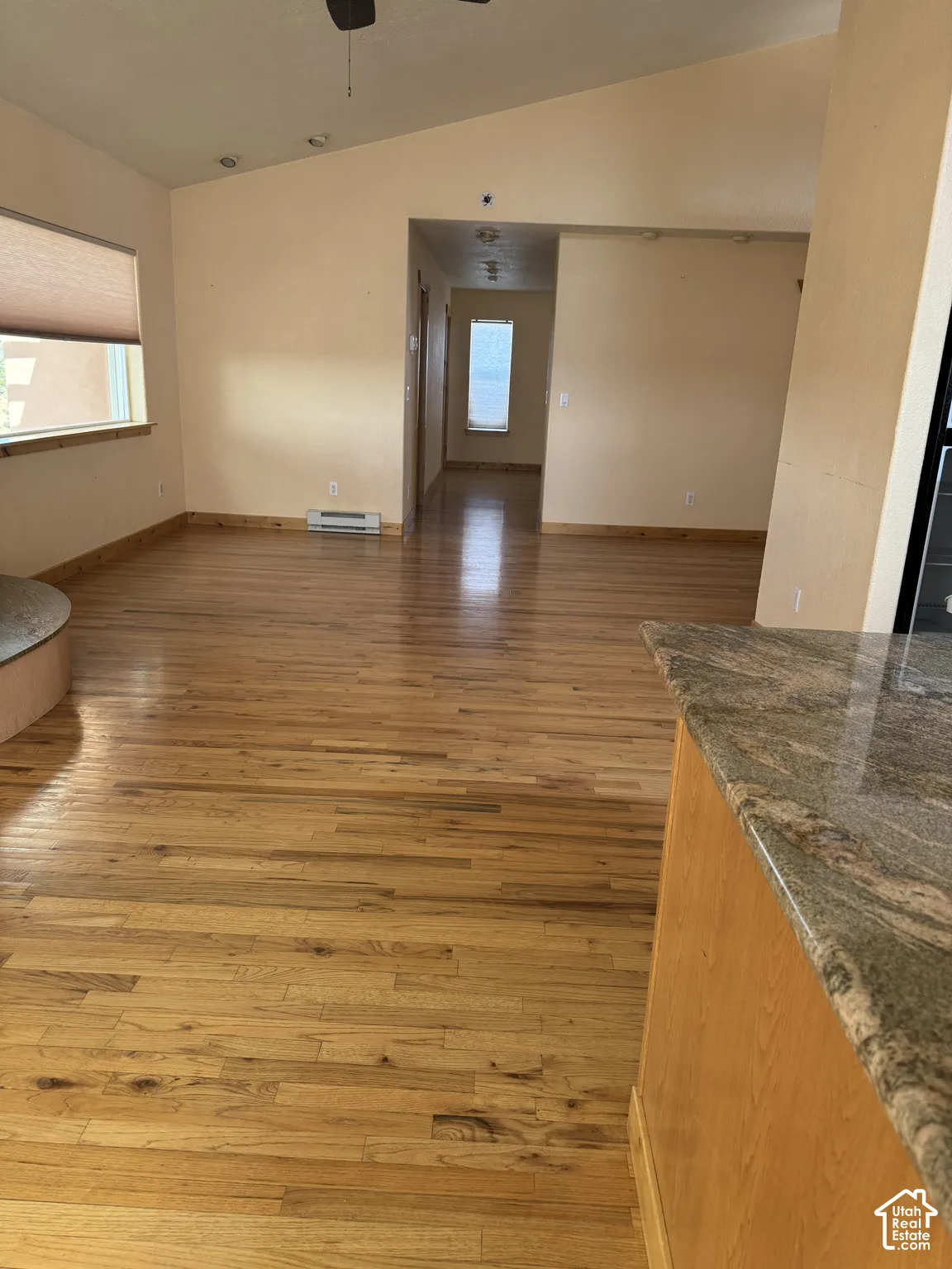 Vaulted ceiling, recessed lighting, wood-finish flooring, and a granite-style countertop