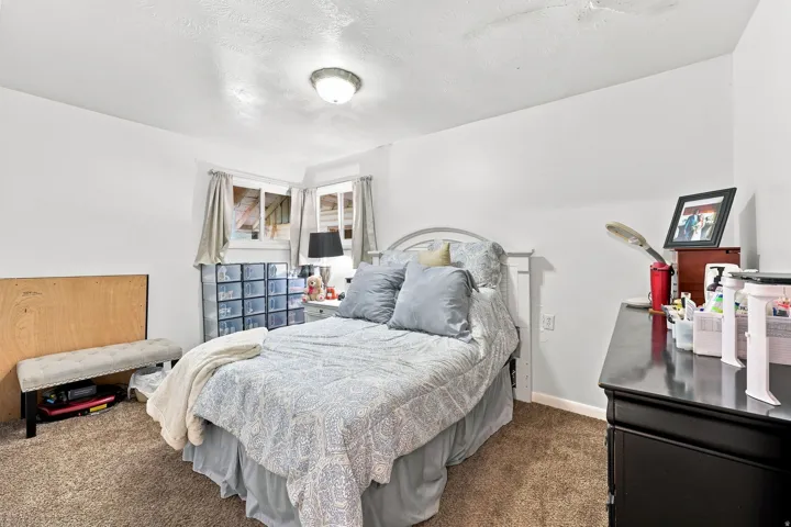 Carpeted bedroom featuring white walls, an overhead ceiling light, and multiple windows with valances