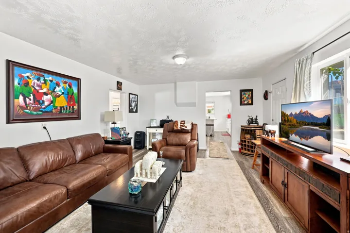 Bright living area featuring wood-finish flooring, white walls, and a ceiling-mounted light fixture
